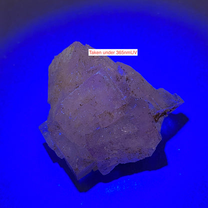 FLUORITE : TULE MINE, MUZQUIZ, COAHUI;A, MEXICO  40g. MF5312