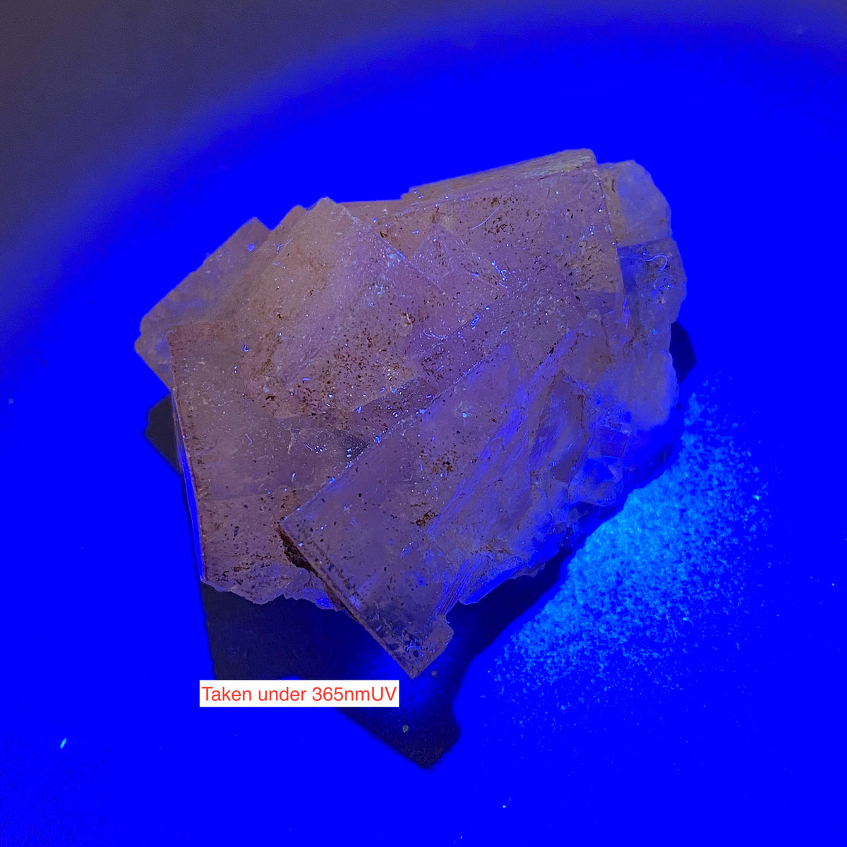 FLUORITE : TULE MINE, MUZQUIZ, COAHUI;A, MEXICO  40g. MF5312