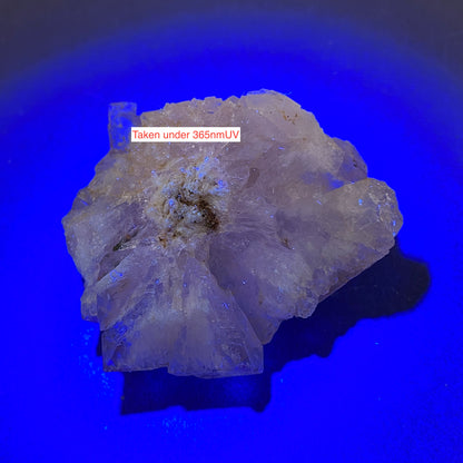 FLUORITE : TULE MINE, MUZQUIZ, COAHUI;A, MEXICO  40g. MF5312
