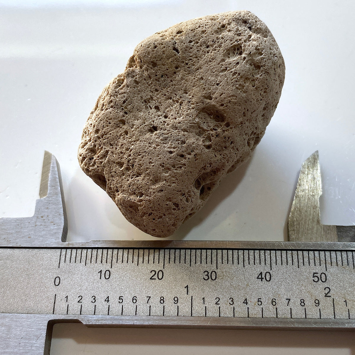 PUMICE VOLCANIC EJECTA : SAO MIGUEL, AZORES ISLANDS, PORTUGAL  5g MF5313
