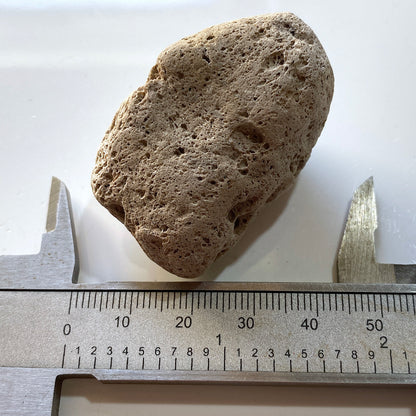 PUMICE VOLCANIC EJECTA : SAO MIGUEL, AZORES ISLANDS, PORTUGAL  5g MF5313