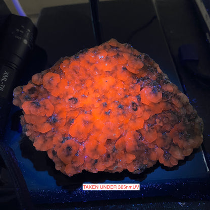 CALCITE ON MATRIX : PARC MINE, TREFRIW, CONWY, WALES  239g MF4620