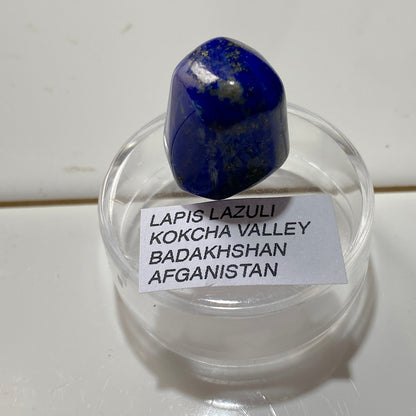 GEMSTONE LAPIS LAZULI - KOKCHA VALLEY, BADAKHSHAN, AFGHANISTAN 9g [45Ct] MFG5372