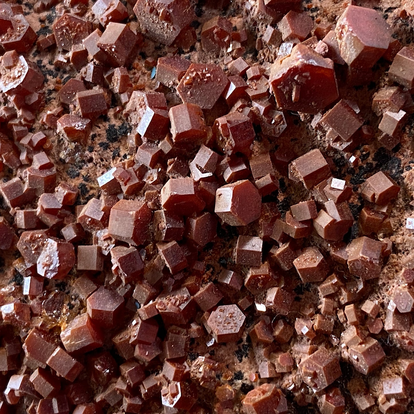 VANADINITE ON MATRIX - MIBLADEN M.D., MOROCCO,  LARGE 675g MF359