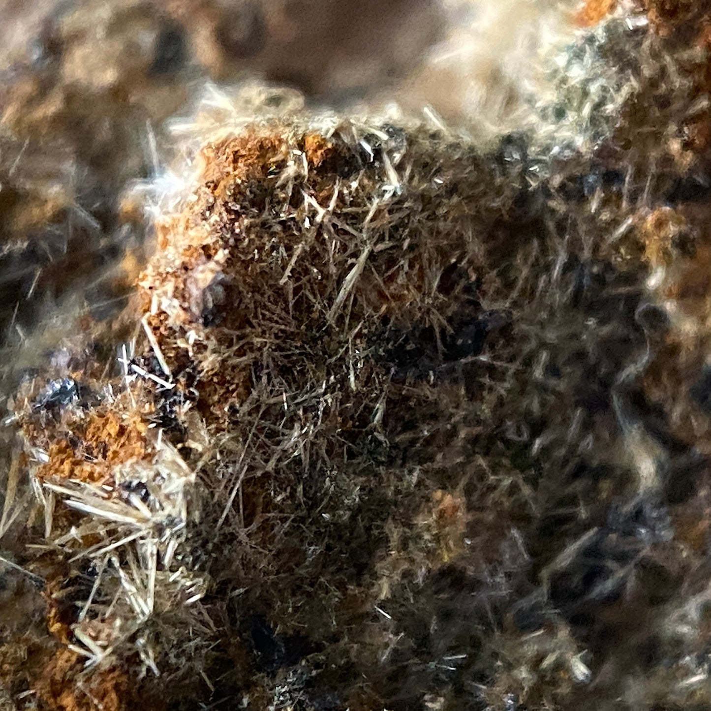 STRUNZITE : GRAVEL HILL MINE, PERRANZABULOE, CORNWALL , ENGLAND 21g MF4662