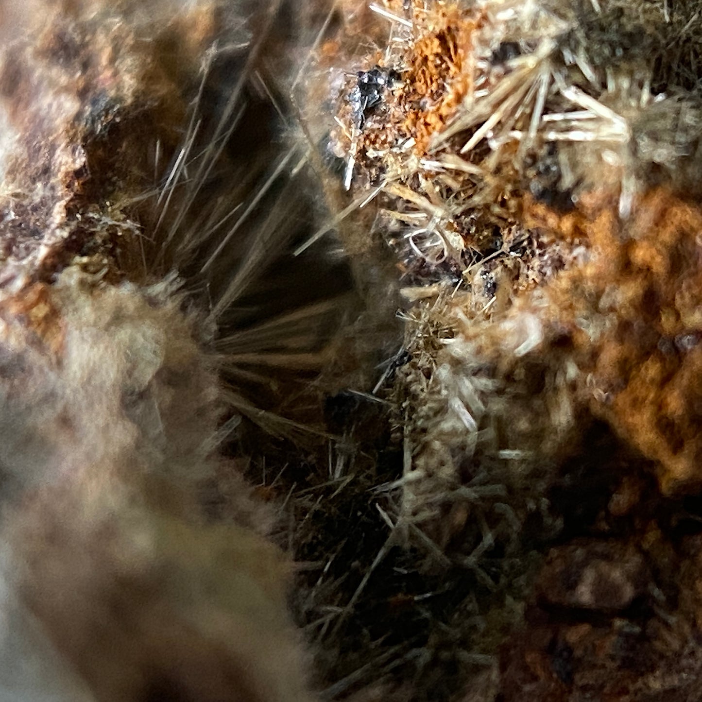 STRUNZITE : GRAVEL HILL MINE, PERRANZABULOE, CORNWALL , ENGLAND 21g MF4662