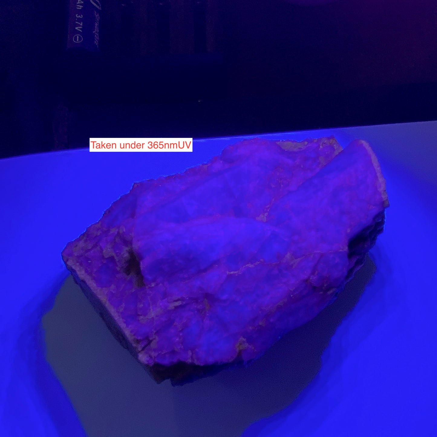 "MASSIVE " FLUORITE : WHEAL MARY ANN, MENHENIOT, CORNWALL. 511g MF4663