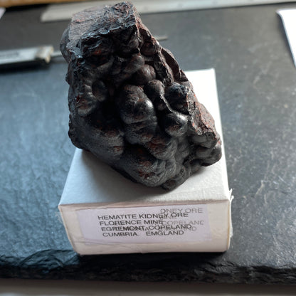 HEMATITE KIDNEY ORE.  FLORENCE MINE, CUMBRIA. 258g MF1430