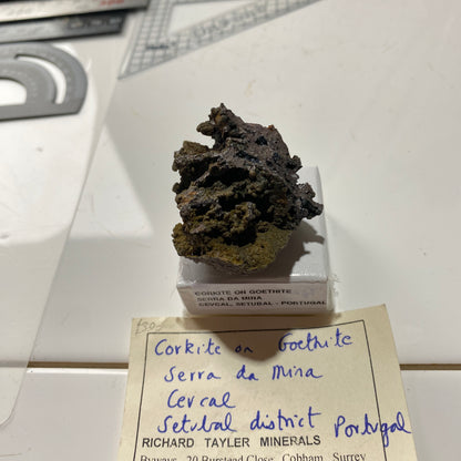 CORKITE ON GOETHITE : SERRA DA MINA, CERCAL, SETUBAL, PORTUGAL 36g MF4627