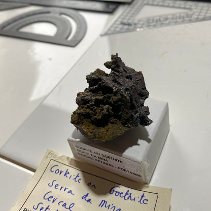 CORKITE ON GOETHITE : SERRA DA MINA, CERCAL, SETUBAL, PORTUGAL 36g MF4627