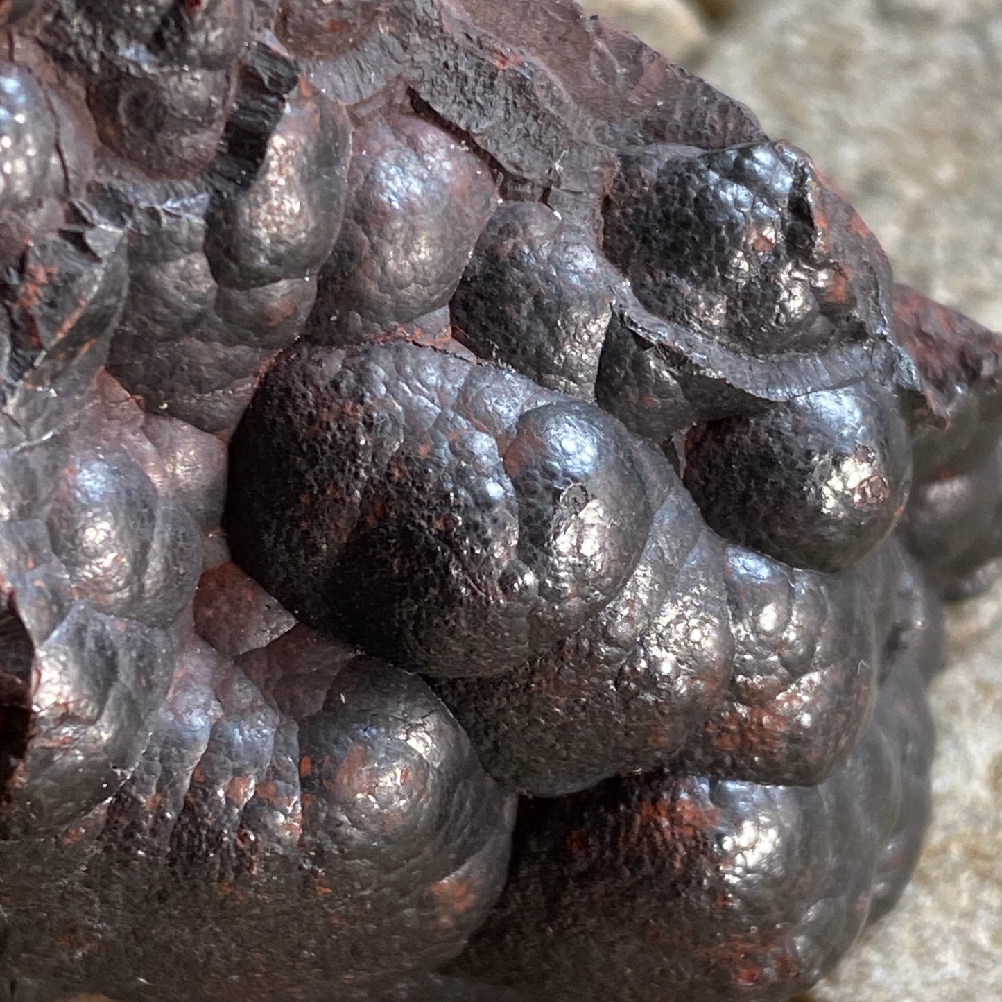 HEMATITE KIDNEY ORE.  FLORENCE MINE, CUMBRIA. 258g MF1430