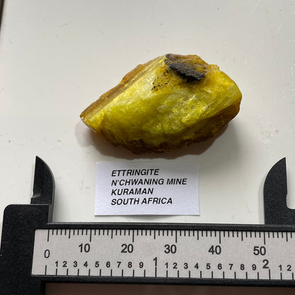 ETTRINGITE RARE MINERAL FROM N'CHWANING MINE, SOUTH AFRICA  10g. MF5342