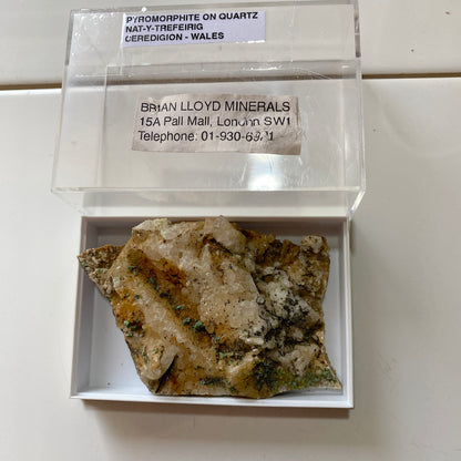PYROMORPHITE WITH QUARTZ - NANT-Y-MOCH, TREFRIRIG, CEREDIGION, WALES 36g MF305