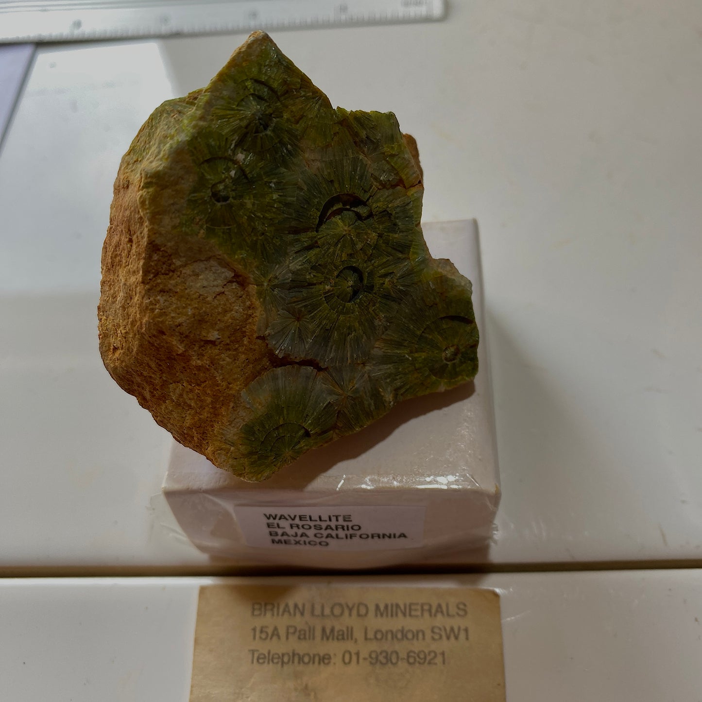 WAVELLITE ON MATRIX  - EL ROSARIO, BAJA CALIFORNIA, MEXICO. 80g MF390