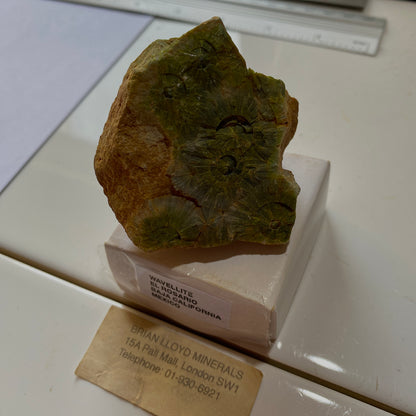 WAVELLITE ON MATRIX  - EL ROSARIO, BAJA CALIFORNIA, MEXICO. 80g MF390