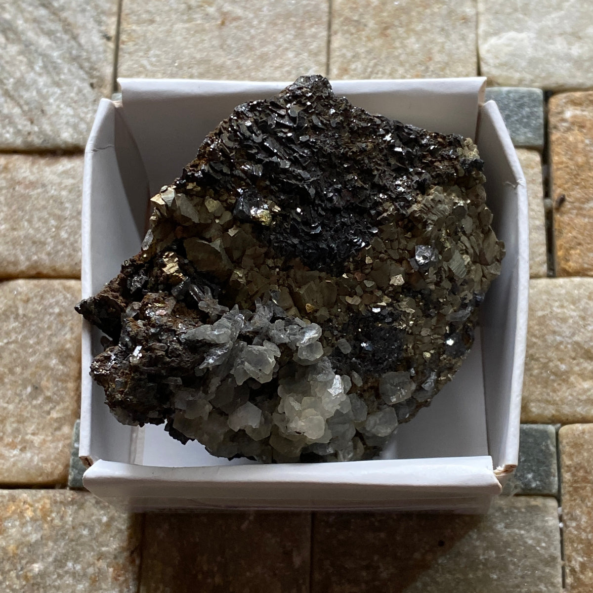 SHPALERITE/PYRITE/QUARTZ : CAVNIC MINE, MARAMURES COUNTY, ROMANIA. 138g MF5324