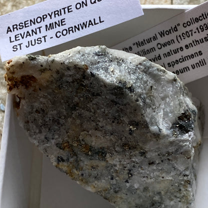 ARSENOPYRITE ON QUARTZ - LEVANT MINE, ST JUST, CORNWALL 43g MF292