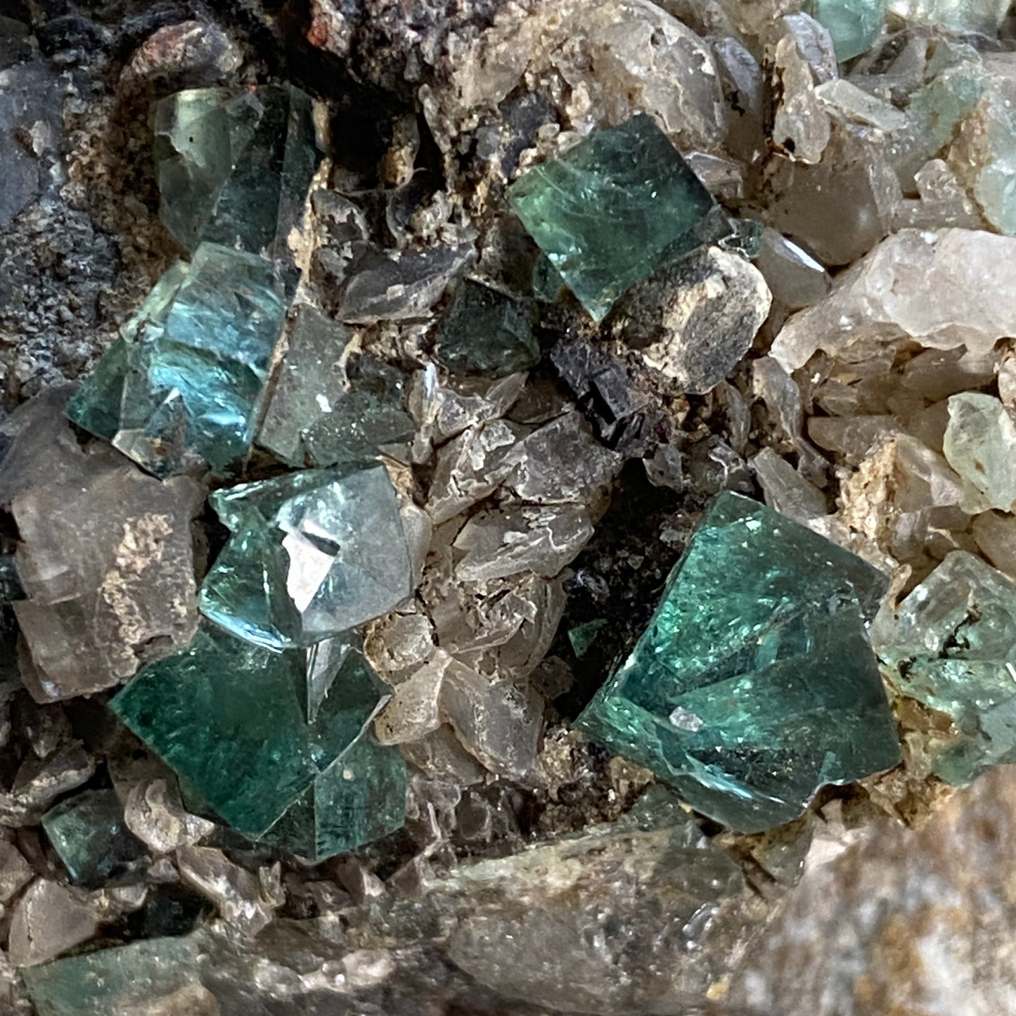 FLUORITE ON MATRIX - HEIGHTS QUARRY, WEARDALE, CO DURHAM  116g  MF3852