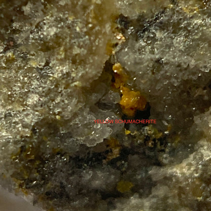 SCHUMACHERITE ON MATRIX - PUCHER SHAFT, WOLFGANGMABEN MINES, SAXONY GERMANY MF4247