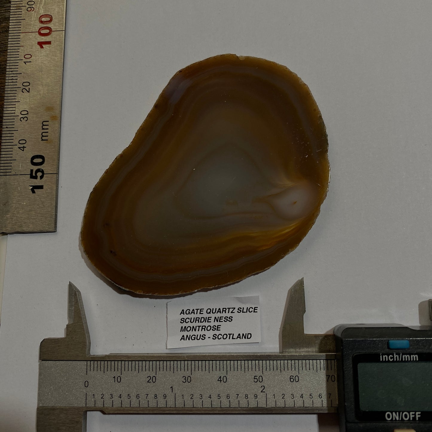 AGATE QUARTZ SLICE - SCURDIE NESS, MONTROSE, ANGUS, SCOTLAND 49g MF295