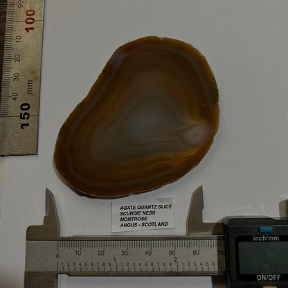 AGATE QUARTZ SLICE - SCURDIE NESS, MONTROSE, ANGUS, SCOTLAND 49g MF295
