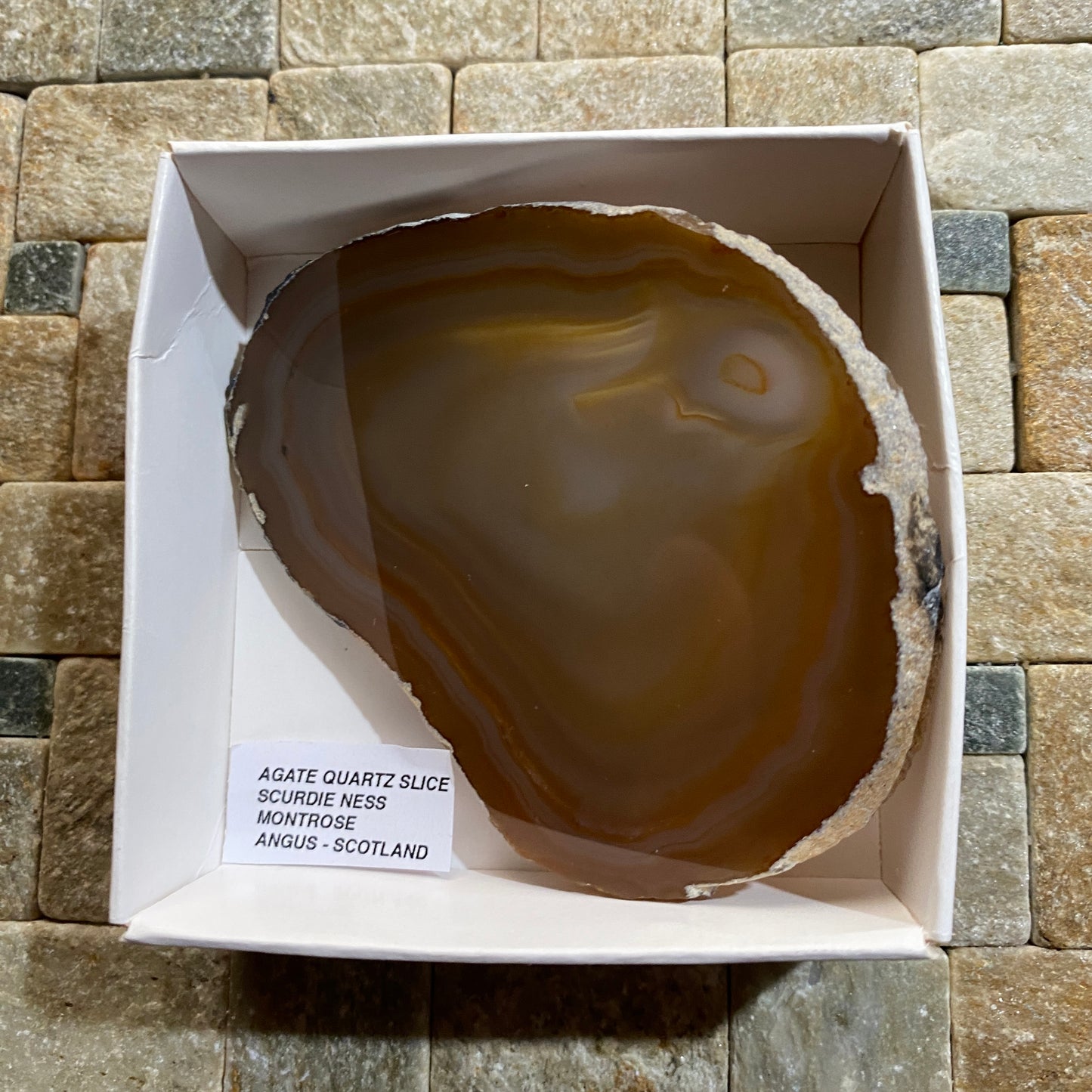 AGATE QUARTZ SLICE - SCURDIE NESS, MONTROSE, ANGUS, SCOTLAND 49g MF295