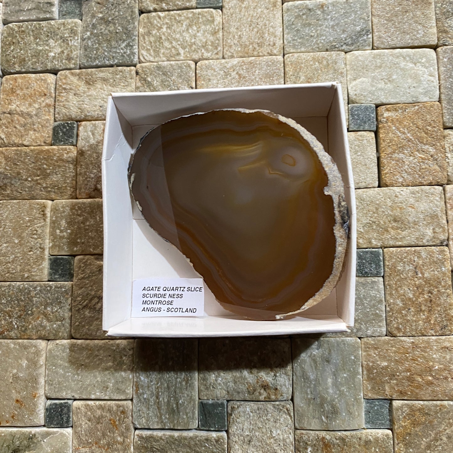 AGATE QUARTZ SLICE - SCURDIE NESS, MONTROSE, ANGUS, SCOTLAND 49g MF295