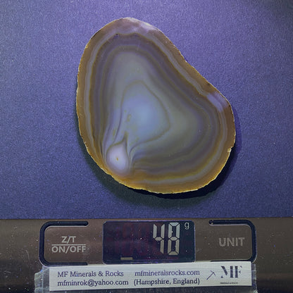AGATE QUARTZ SLICE - SCURDIE NESS, MONTROSE, ANGUS, SCOTLAND 49g MF295