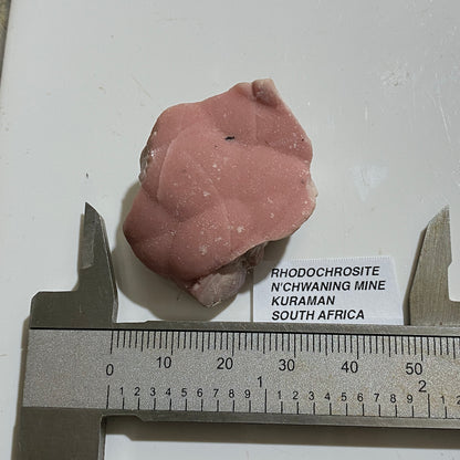 RHODOCHROSITE : N'CHWANING MINE, KURUMAN, NORTHERN CAPE, SOUTH AFRICA  25g MF5336