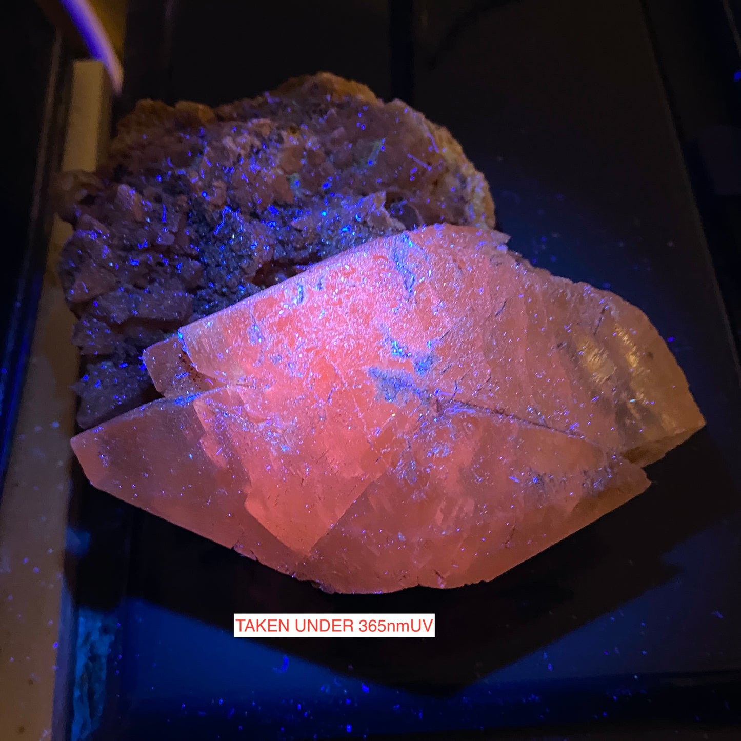 TWINNED CALCITE 0N MATRIX : TAFF'S WELL. PENTRYRCH, WALES 484g MF4676