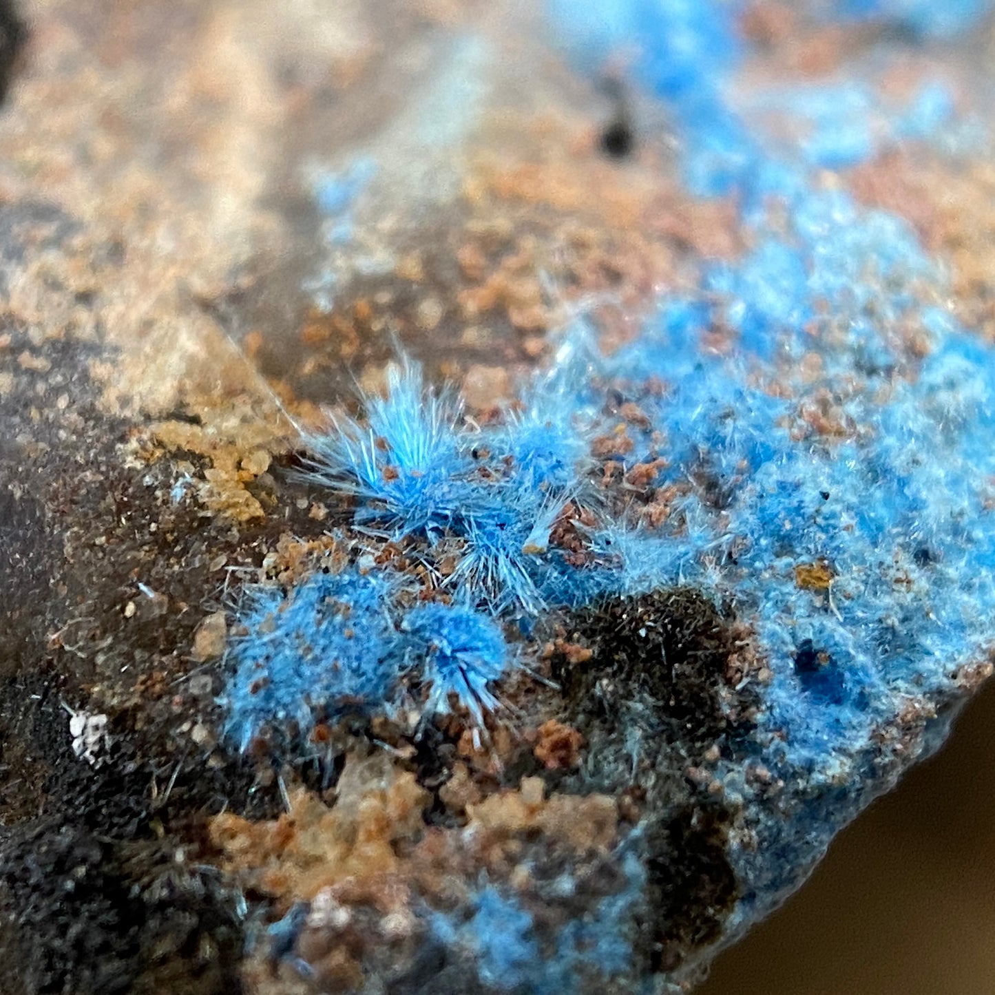 CYANOTRICHITE - UNITED VERDE MINE, ARIZONA, U.S.A.  90g MF1992