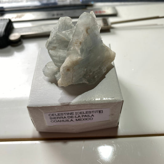 CELESTINE [CELESTITE] : SIERRA DE-LA PAILA, COAHUILA, MEXICO  53g MF5328