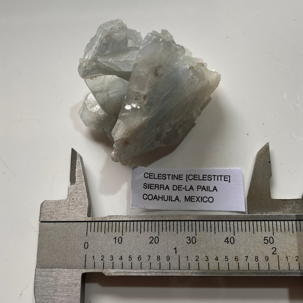 CELESTINE [CELESTITE] : SIERRA DE-LA PAILA, COAHUILA, MEXICO  53g MF5328