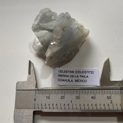CELESTINE [CELESTITE] : SIERRA DE-LA PAILA, COAHUILA, MEXICO  53g MF5328
