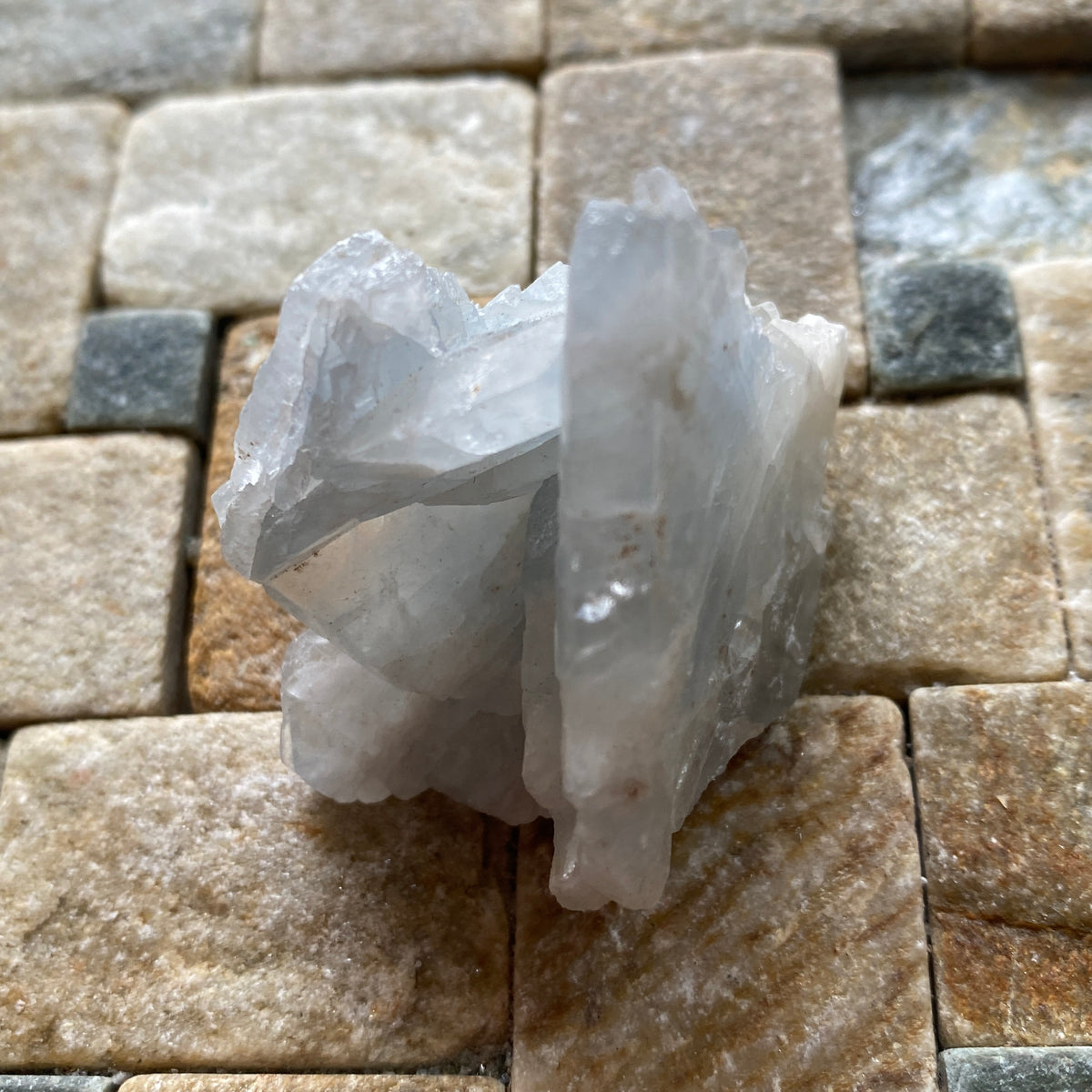 CELESTINE [CELESTITE] : SIERRA DE-LA PAILA, COAHUILA, MEXICO  53g MF5328