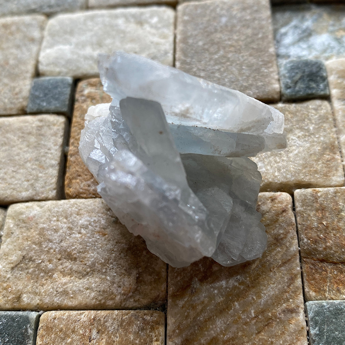 CELESTINE [CELESTITE] : SIERRA DE-LA PAILA, COAHUILA, MEXICO  53g MF5328