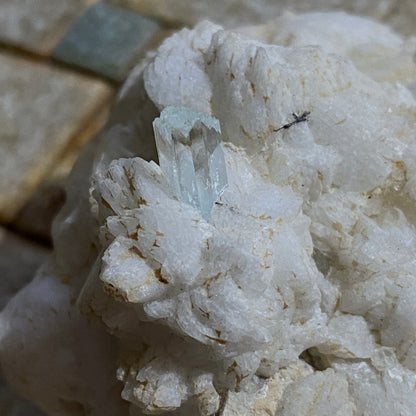 QUARTZ/AQUAMARINE BERYL IN ALBITE - SHENGUS, ROUNDU, PAKISTAN 118g MF4250