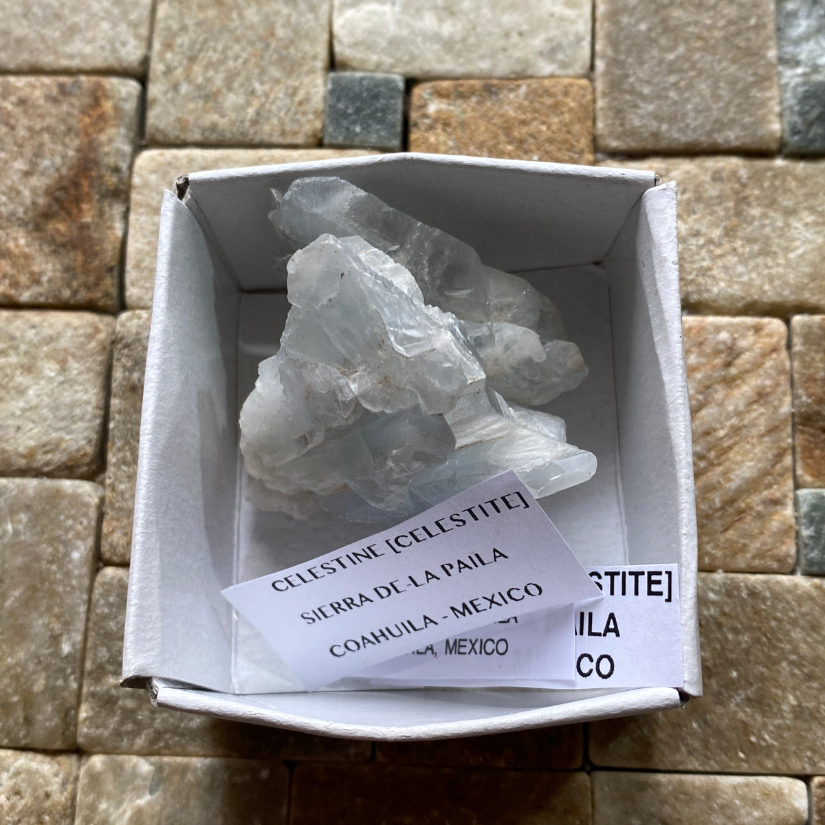 CELESTINE [CELESTITE] : SIERRA DE-LA PAILA, COAHUILA, MEXICO  53g MF5328