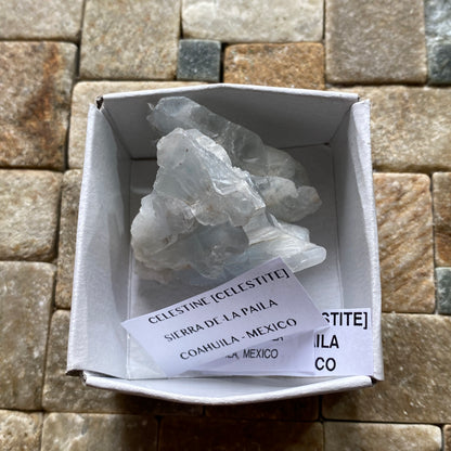 CELESTINE [CELESTITE] : SIERRA DE-LA PAILA, COAHUILA, MEXICO  53g MF5328