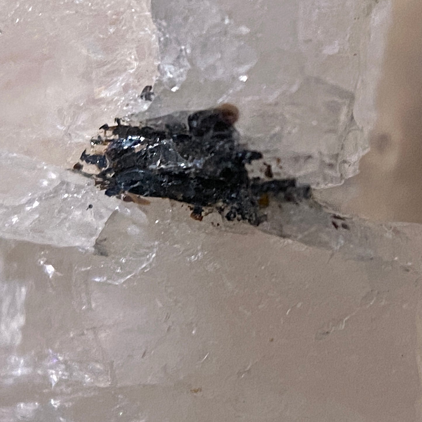 TAKANELITE ON MORGANITE BERYL : BARRA DO SALINAS, BRAZIL 23g MF4642