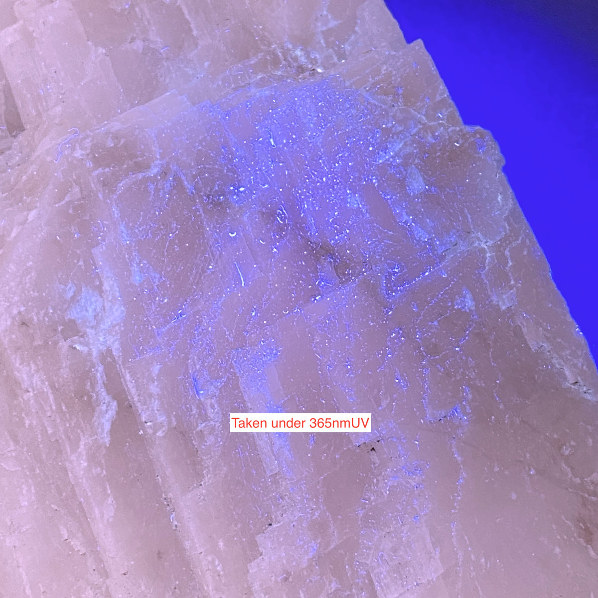 CALCITE : TORR WORKS QUARRY, CRANMORE, MENDIP, SOMERSET  329g MF5329