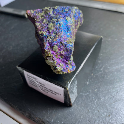 BORNITE [PEACOCK ORE] NCHANGA MINE, COPPER BELT, ZAMBIA 194g MF1444