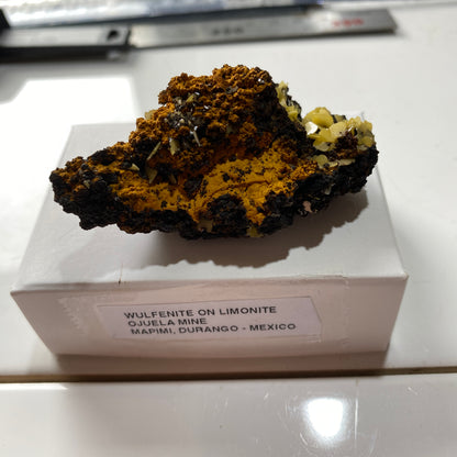 WULFENITE ON LIMONITE : PJIELA MINE, MAPIMI, DURANGO, MEXICO 28g MF5341
