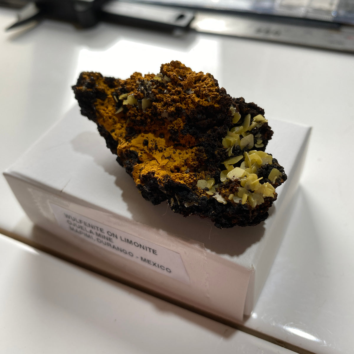 WULFENITE ON LIMONITE : PJIELA MINE, MAPIMI, DURANGO, MEXICO 28g MF5341