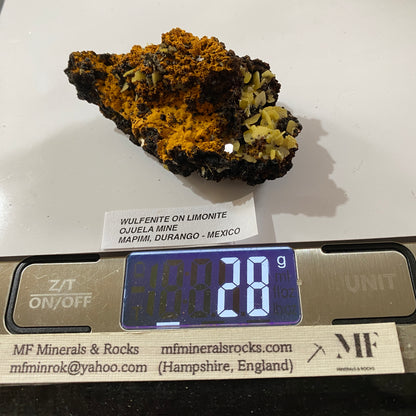 WULFENITE ON LIMONITE : PJIELA MINE, MAPIMI, DURANGO, MEXICO 28g MF5341