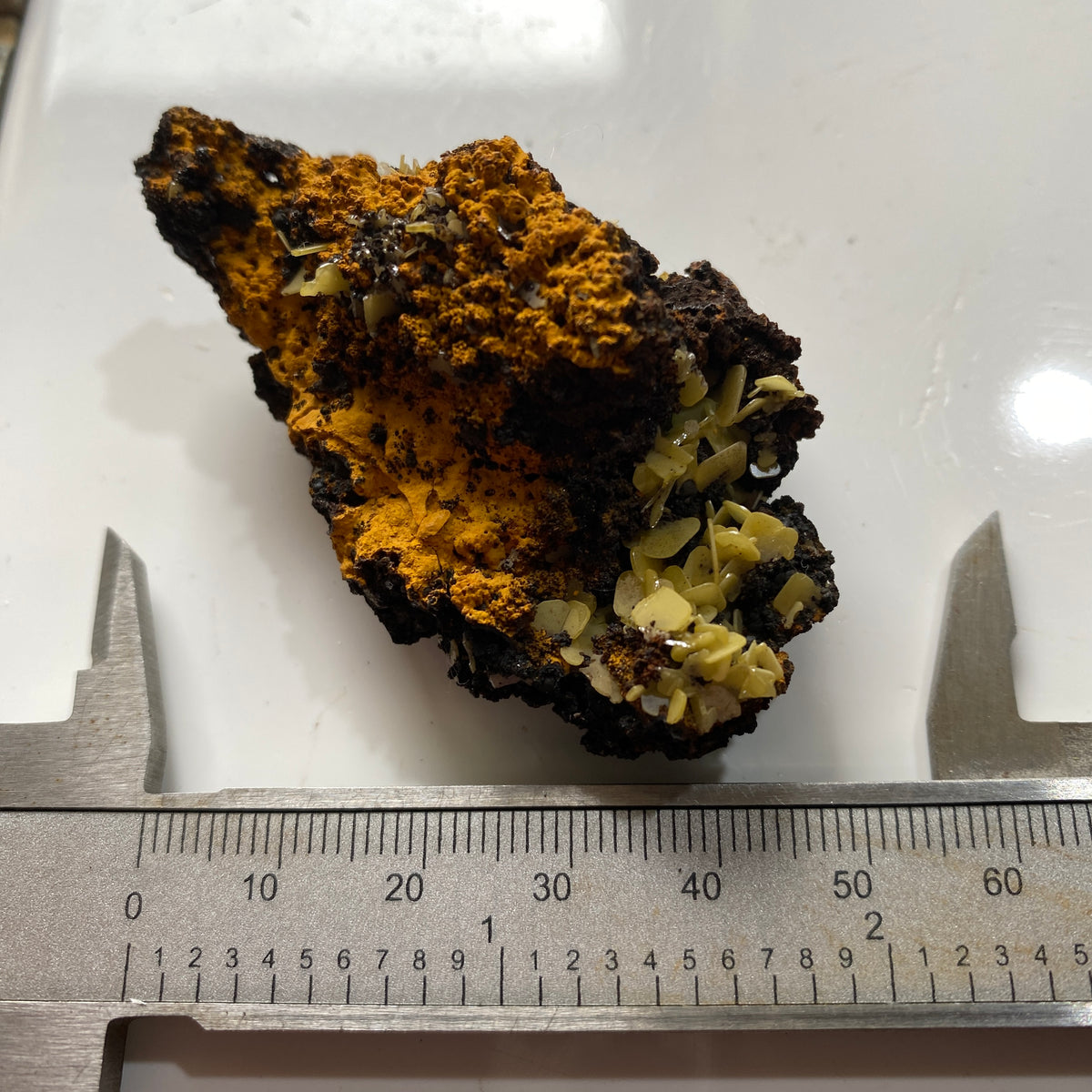 WULFENITE ON LIMONITE : PJIELA MINE, MAPIMI, DURANGO, MEXICO 28g MF5341