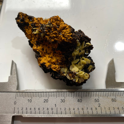 WULFENITE ON LIMONITE : PJIELA MINE, MAPIMI, DURANGO, MEXICO 28g MF5341