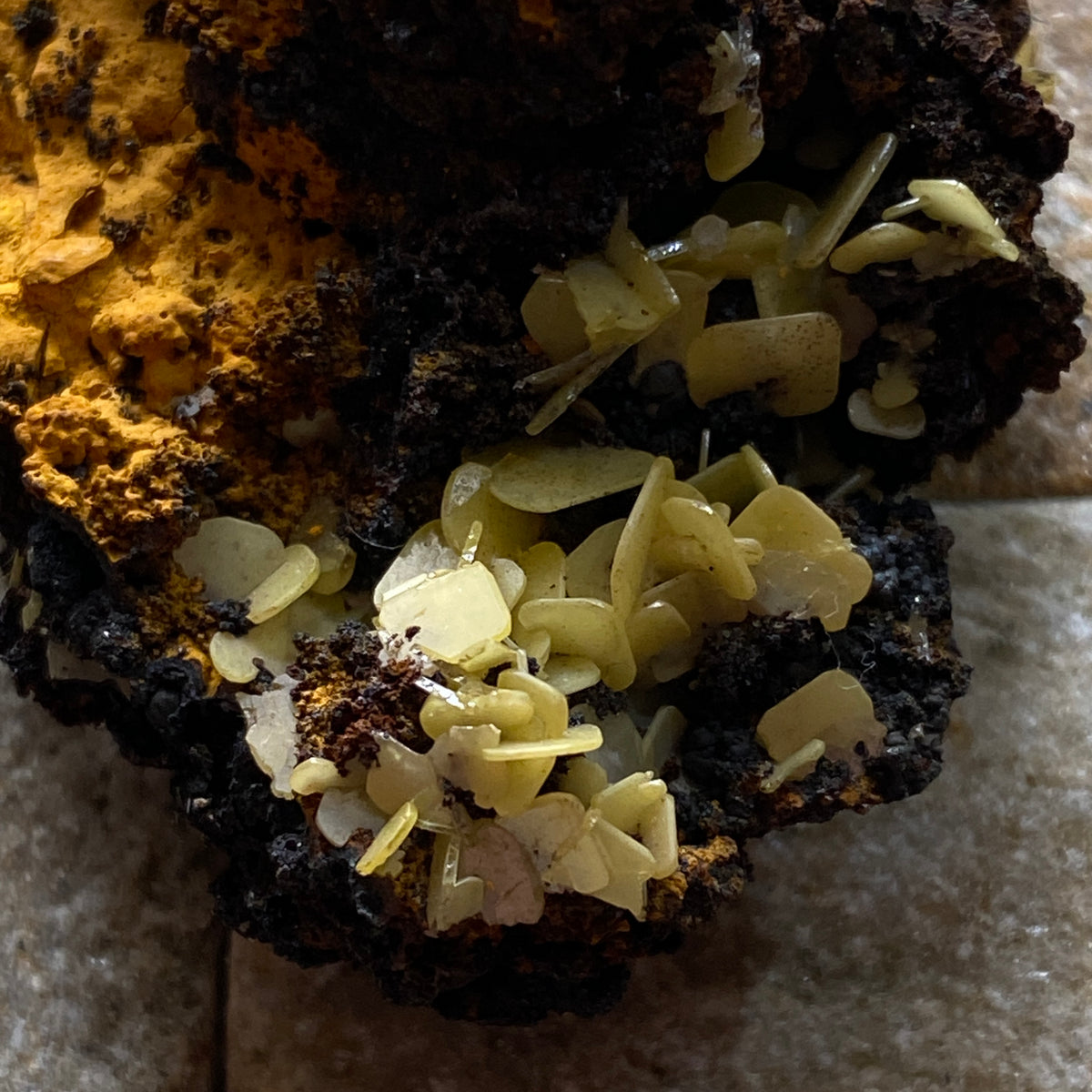 WULFENITE ON LIMONITE : PJIELA MINE, MAPIMI, DURANGO, MEXICO 28g MF5341