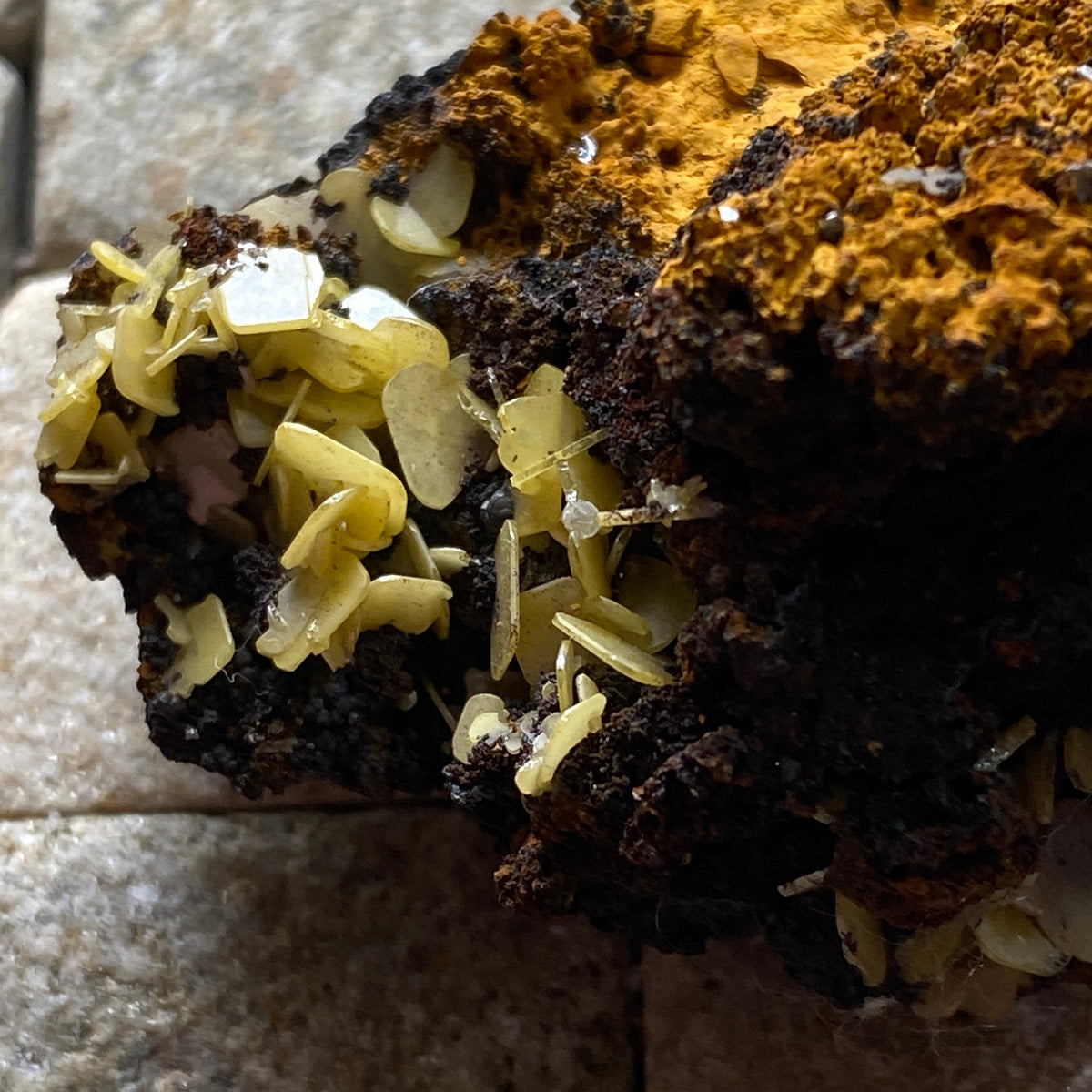WULFENITE ON LIMONITE : PJIELA MINE, MAPIMI, DURANGO, MEXICO 28g MF5341