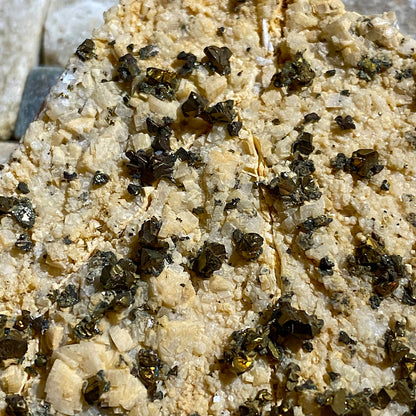 CHALCOPYRITE/DOLOMITE/BARYTES: DREISLER MINE, SAVERLAND, GERMANY. 143g MF4677